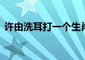 许由洗耳打一个生肖动物,释义词语落实解释