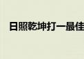 日照乾坤打一最佳生肖动物,精选解释落实