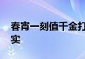 春宵一刻值千金打一个动物生肖.最新揭晓落实