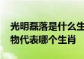 光明磊落是什么生肖(光明磊落是什么生肖动物代表哪个生肖