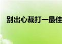 别出心裁打一最佳生肖动物,词语解释落实