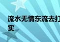 流水无情东流去打一个生肖动物,资料解释落实