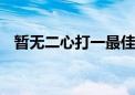 暂无二心打一最佳生肖动物,词语解释落实