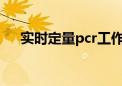 实时定量pcr工作原理（实时定量PCR）