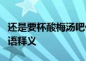 还是要杯酸梅汤吧代表指是生肖、解释落实词语释义