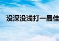 没深没浅打一最佳生肖动物,精选解释落实