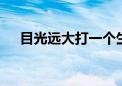 目光远大打一个生肖动物,资料解释落实