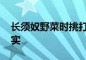 长须奴野菜时挑打一个生肖动物,资料解释落实