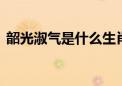 韶光淑气是什么生肖数字.最新揭晓解释落实