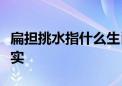 扁担挑水指什么生肖打一动物生肖揭秘解析落实