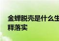 金蝉脱壳是什么生肖打一个动物.完美揭晓解释落实