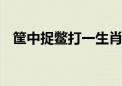 筐中捉鳖打一生肖生肖动物.重点解释落实