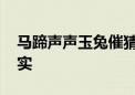 马蹄声声玉兔催猜一个生肖动物,成语分析落实