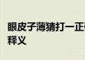 眼皮子薄猜打一正确生肖动物、词语落实作答释义