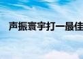 声振寰宇打一最佳生肖动物,精选解释落实