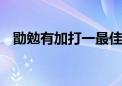 勖勉有加打一最佳生肖动物,精选解释落实