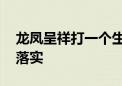 龙凤呈祥打一个生肖是啥动物.重点诠释解释落实