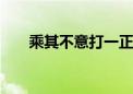 乘其不意打一正确生肖.重点解释落实