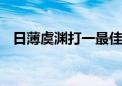 日薄虞渊打一最佳生肖动物,词语释义解释