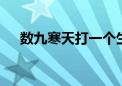 数九寒天打一个生肖动物,资料解释落实