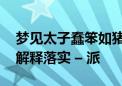 梦见太子蠢笨如猪打猜最准确生肖动物,第一解释落实 – 派