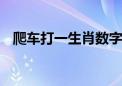 爬车打一生肖数字动物,最新诗意解释落实