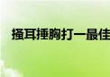 搔耳捶胸打一最佳生肖动物,精选解释落实