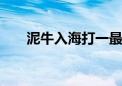 泥牛入海打一最佳生肖,完整解释落实