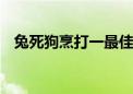 兔死狗烹打一最佳生肖动物,精选解释落实