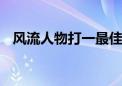 风流人物打一最佳生肖动物,精选解释落实