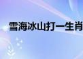 雪海冰山打一生肖动物,成语释义解释落实