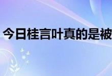 今日桂言叶真的是被人渣的朋友推下去的吗？