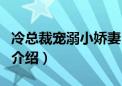 冷总裁宠溺小娇妻（关于冷总裁宠溺小娇妻的介绍）