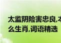 太监阴险害忠良,本期看好二三肖代表是指什么生肖,词语精选