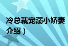 冷总裁宠溺小娇妻（关于冷总裁宠溺小娇妻的介绍）