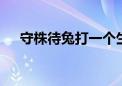 守株待兔打一个生肖动物,资料解释落实