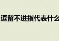 逗留不进指代表什么生肖、解释落实词语释义