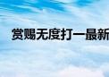 赏赐无度打一最新生肖动物,成语解释落实