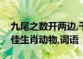 九尾之数开两边,千金一撒二值钱猜打一个最佳生肖动物,词语