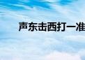 声东击西打一准确生肖,词语解释落实