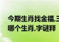 今期生肖找金福,三心一意肖中取指是打代表哪个生肖,字谜释