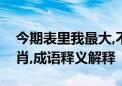 今期表里我最大,不是鸡来不是鼠指是什么生肖,成语释义解释