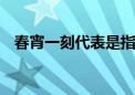 春宵一刻代表是指什么生肖,精选词语落实