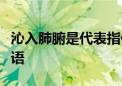 沁入肺腑是代表指什么生肖、标准落实释义成语