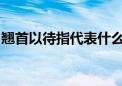 翘首以待指代表什么生肖、解释落实词语释义