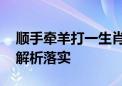 顺手牵羊打一生肖指什么生肖动物.作答解释解析落实