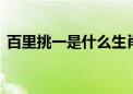 百里挑一是什么生肖动物,全面释义解释落实