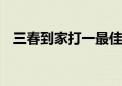 三春到家打一最佳生肖动物,词语解释落实