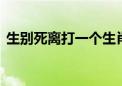 生别死离打一个生肖动物,详细释义解释落实