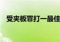 受夹板罪打一最佳生肖动物,词语解释落实